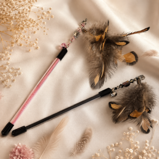 Feather Charm